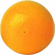 Апельсин сорта Валенсия (Турция) фото