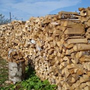 дрова березовые колотые фото