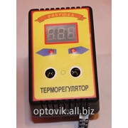 Купить Терморегулятор Для Инкубатора В Донецке