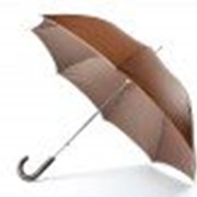 Зонт - трость (23 *14, светло-коричневый с белой каемкой) фото