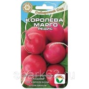 Редис Королева Марго 2г (Сибирский сад) фото