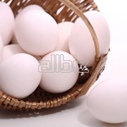 Яйца домашней птицы