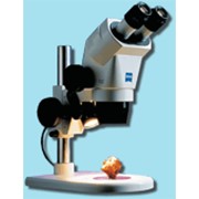 Стереомикроскоп Stemi 2000 (2000C)