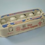 Яйца столовые пищевые фото