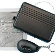 Tx300 брелок для Radio comander 300м фото