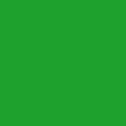 Самоклейка зелёная А4 (1лист)