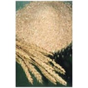Отруби пшеничные 3-00 р/кг
