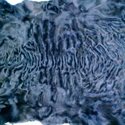 Покраска меха натурального, чистка меховых изделий - шубы, дубленки, куртки, ковры из натурального меха, Киев