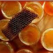 Препараты лекарственные на основе натурального пчелиного сырья