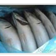 Оптовая продажа морской рыбы на Украине и стран СНГ Только крупный опт, мясо замороженное в ассортименте фото