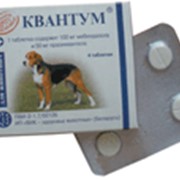 Квантум (Kvantum) - противопаразитарное лекарственное средство