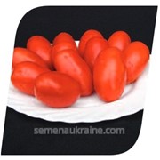 Семена томата Велоз F1 (высокопродуктивный, среднеранний) 1000с фотография