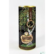 Бисерные деревья SocButtons v1.5Березка От 10 лет фото