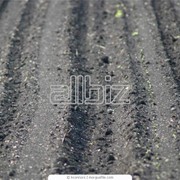 Обработка почвы фото