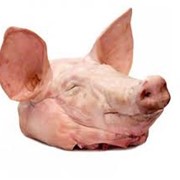 Губы свиные свежемороженые в продаже, Украина фото
