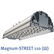 Уличный светильник Magnum-STREET 220 (Ш) фото