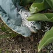 Удобрения азотно-фосфорные калийные