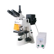 Микроскоп люминесцентный XSZ-146TP(FLUO) фото