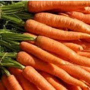 Морковь ранняя в Украине, Купить, Стоимость