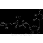 Уридин дифосфат холин аммонийная соль, 5 мг U829930 фото