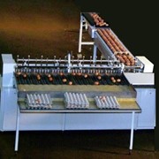 Машина для сортировки яиц “Ритм 8-3“ фото