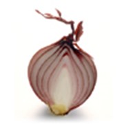 Лук красный (Onions red) лук порей лук белый лук красный лук репка