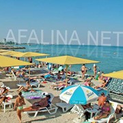 Пляжи возле гостиницы Афалина (Феодосия) фото