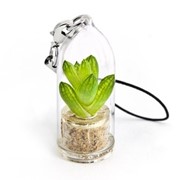 Мини бочо Minicactus брелок с живым растением