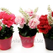 Пион искусственный в горшке БФ40010 фото