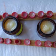 Маточне молочко у баночках фото