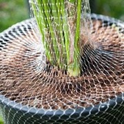 Сетка упаковочная для растений “Белсетка“ фото