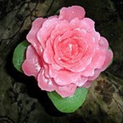 Свеча Пасхальная дерево Роза-Благодарная
