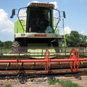 УСЛУГИ КОМБАЙНОМ CLAAS MEGA 204 фото