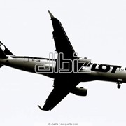 Международные грузовые авиаперевозки фото