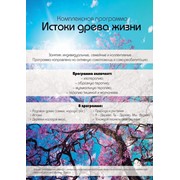 КОМПЛЕКСНАЯ ПРОГРАММА Истоки Древа Жизни, психотерапия фото