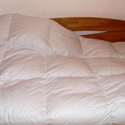 Пухо-перовые одеяла фотография