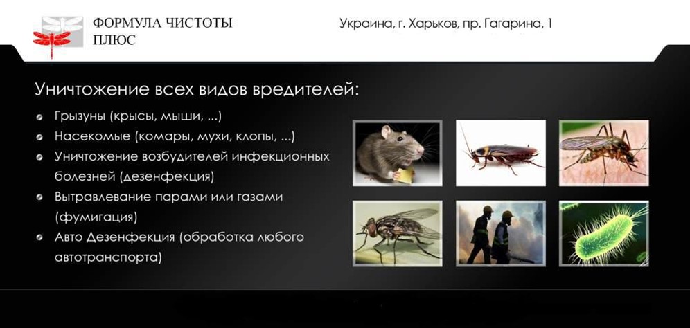 Кого создал чепелин чтобы уничтожить все живое. Мыши вредители. Мыши как вредители для человека. Плакат мышь вредитель. Клопы тараканы мухи комары мыши крысы как одним словом.