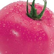 Семена помидоров Малиновый звон элита фото