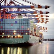Морские контейнерные перевозки в Черноморском бассейне из ОАЭ