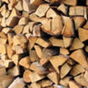 Кедровые, ясеневые, березовые дрова фото
