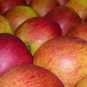 Яблоки Джанаголд фото