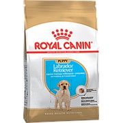 Royal Canin 3кг Labrador Retriever Junior Сухой корм для щенков породы Лабрадор Ретривер до 15 мес фото
