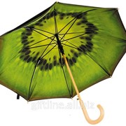 Зонт Киви 4321