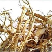 Алтей лекарственный (Althaea officinalis, roots Marsh-mallow) корень 100 грамм фото