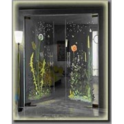 Двери с рисунком, выполненным керамическими красками фото