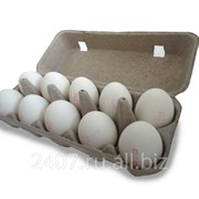 Яйцо куриное пищевое столовое 10 шт
