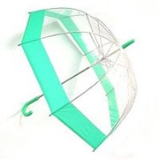 Зонт прозрачный купол зеленый фотография