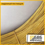 Проволока латунная Л63 0.25 мм фото