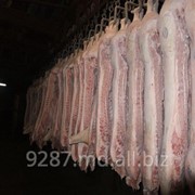 Свинина полутуши в Молдове фотография