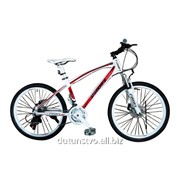 Велосипед 24 Battery Expert 24.2 красно-белый фотография